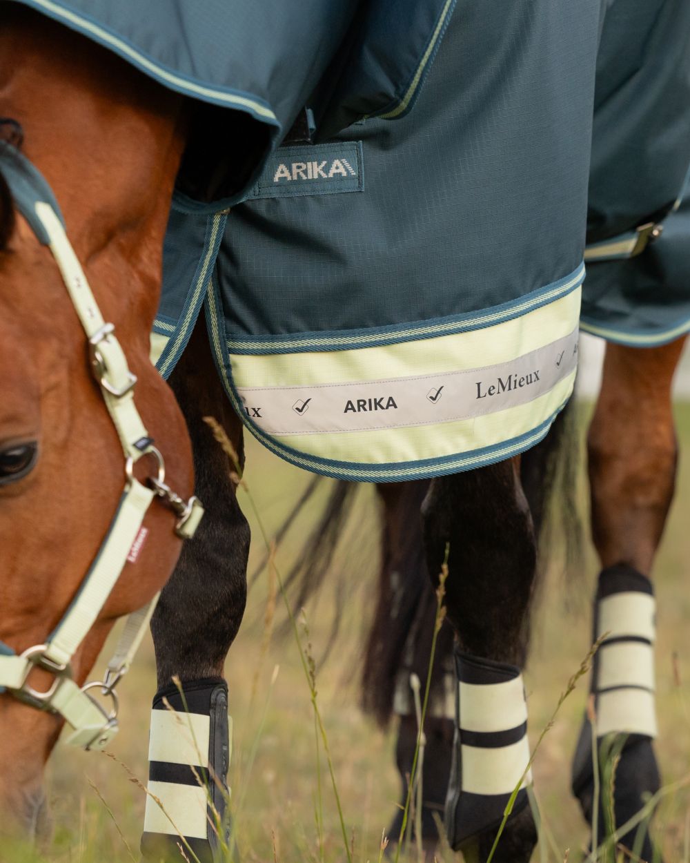 Jungle coloured LeMieux Arika Ripstop 50g Turnout Horse Rug on grassy background 