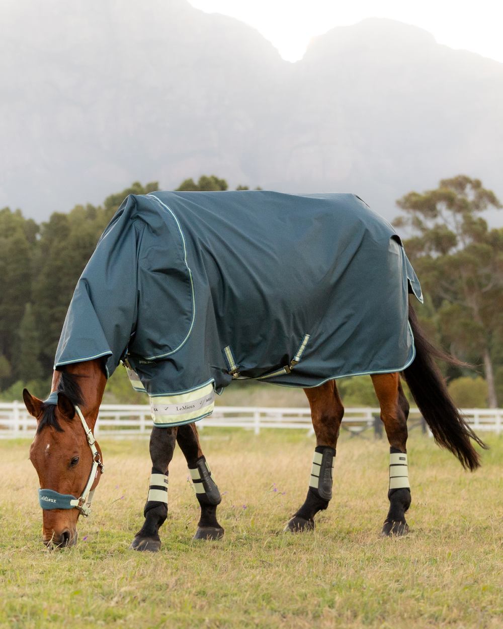 Jungle coloured LeMieux Arika Ripstop 50g Turnout Horse Rug on grassy background 