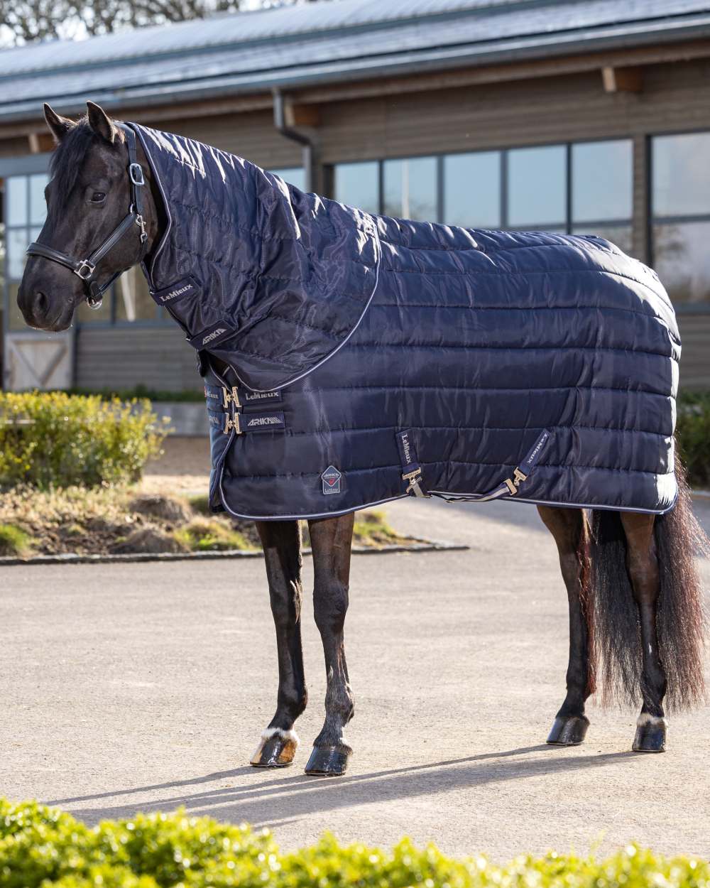 Navy coloured LeMieux Arika Stable-Tek 100g on outdoor background 