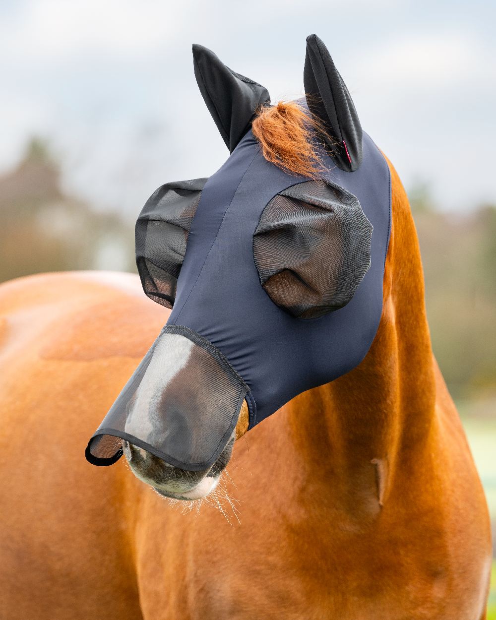 Navy coloured LeMieux Bug Relief Full Mask on blurry background 
