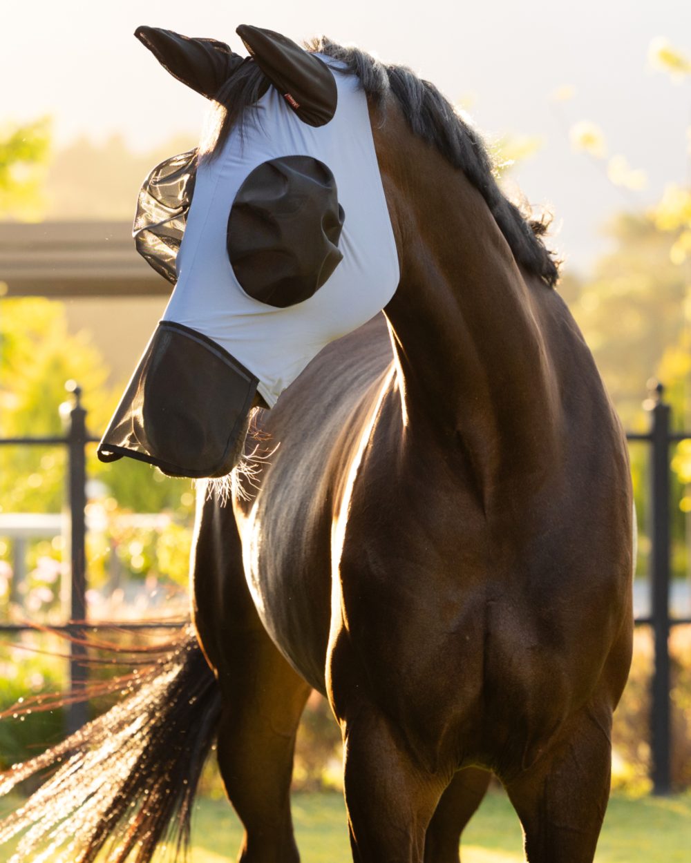 Powder Blue coloured LeMieux Bug Relief Full Mask on outdoor background 