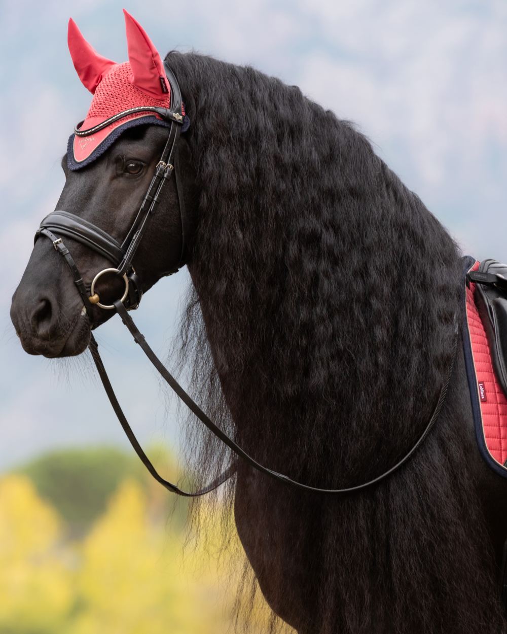 Cranberry coloured LeMieux Classic Fly Hood on sky background 