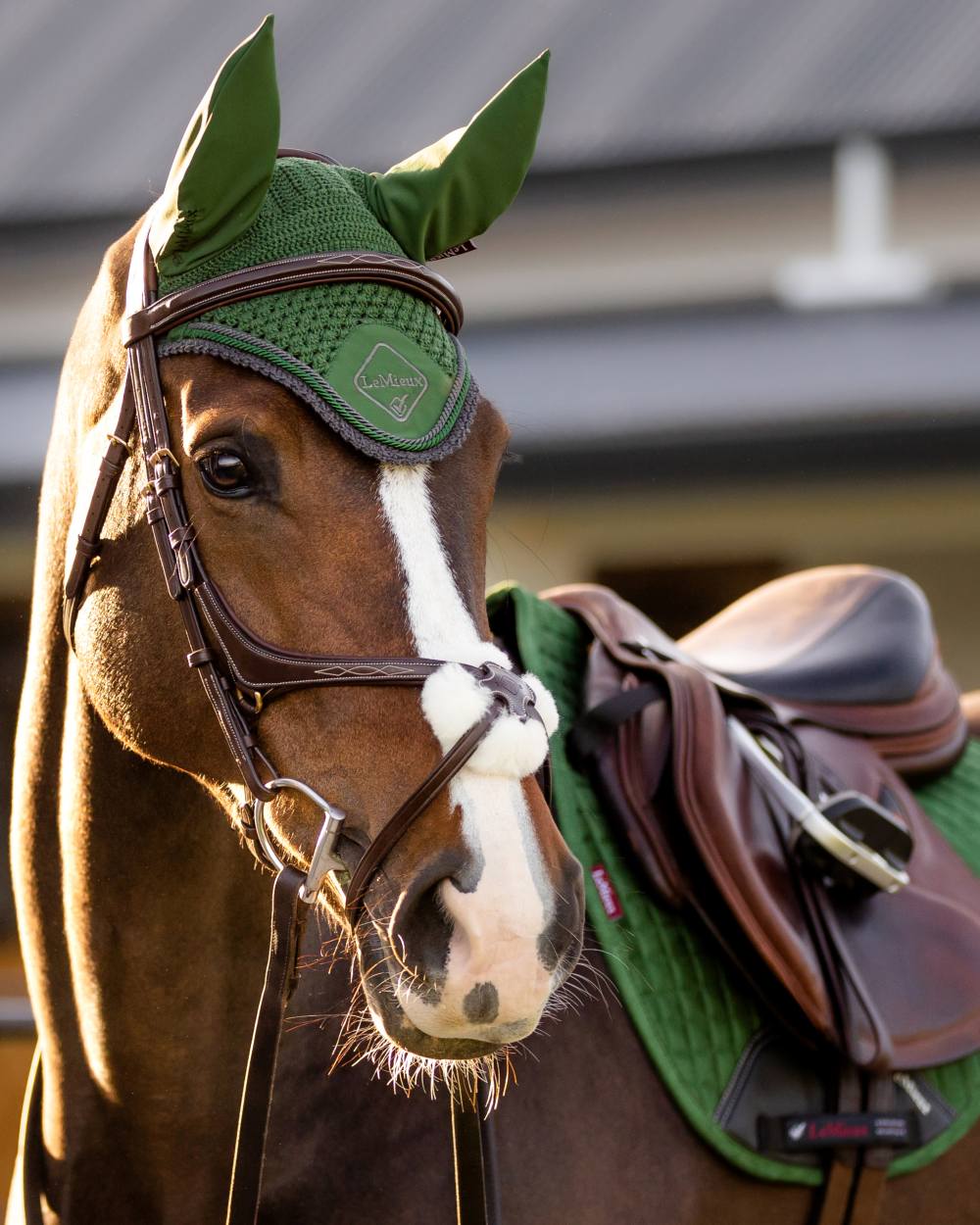 Hunter Green coloured LeMieux Classic Fly Hood on outdoor background 