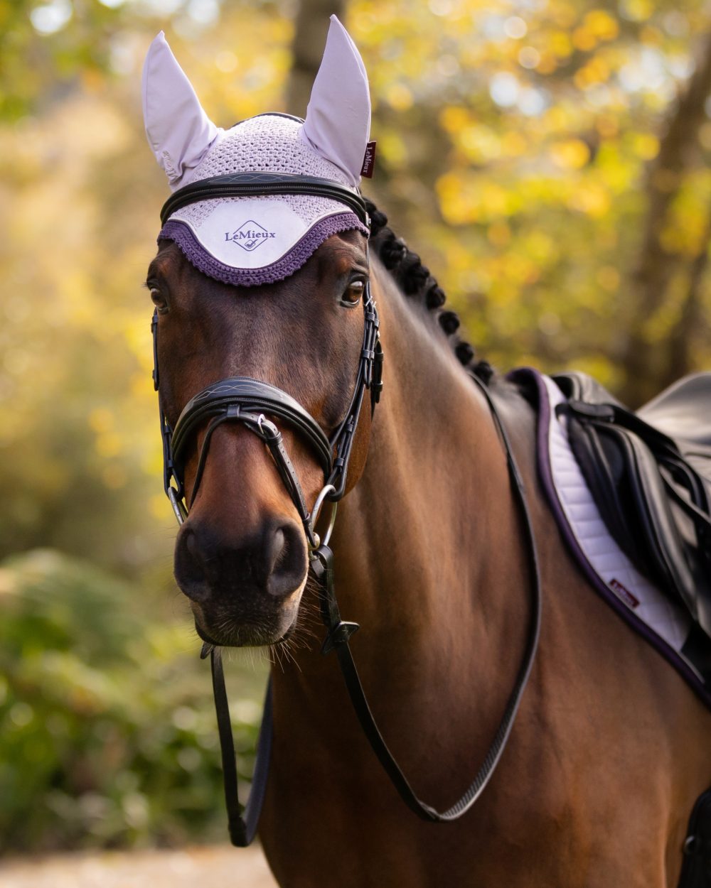 Lilac coloured LeMieux Classic Fly Hood on tree background 