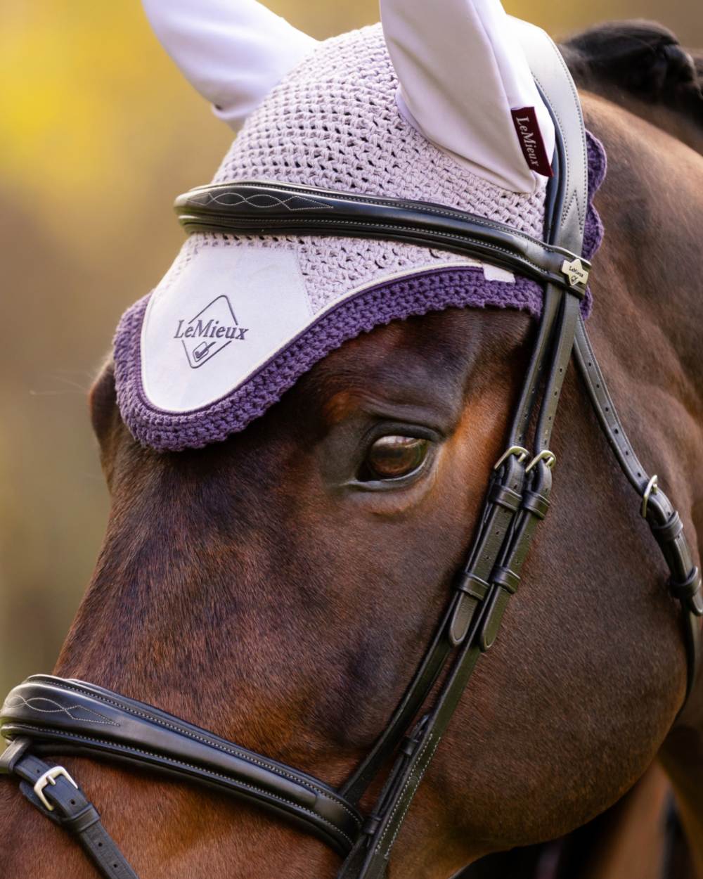 Lilac coloured LeMieux Classic Fly Hood on blurry background 