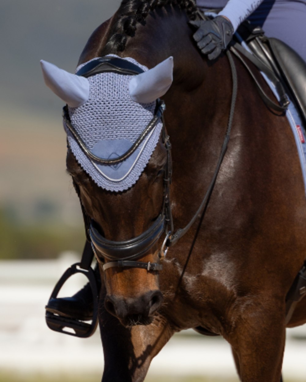 Powder Blue coloured LeMieux Classic Fly Hood on outdoor background 
