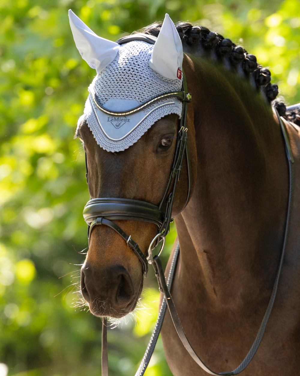 Powder Blue coloured LeMieux Classic Fly Hood on outdoor background 
