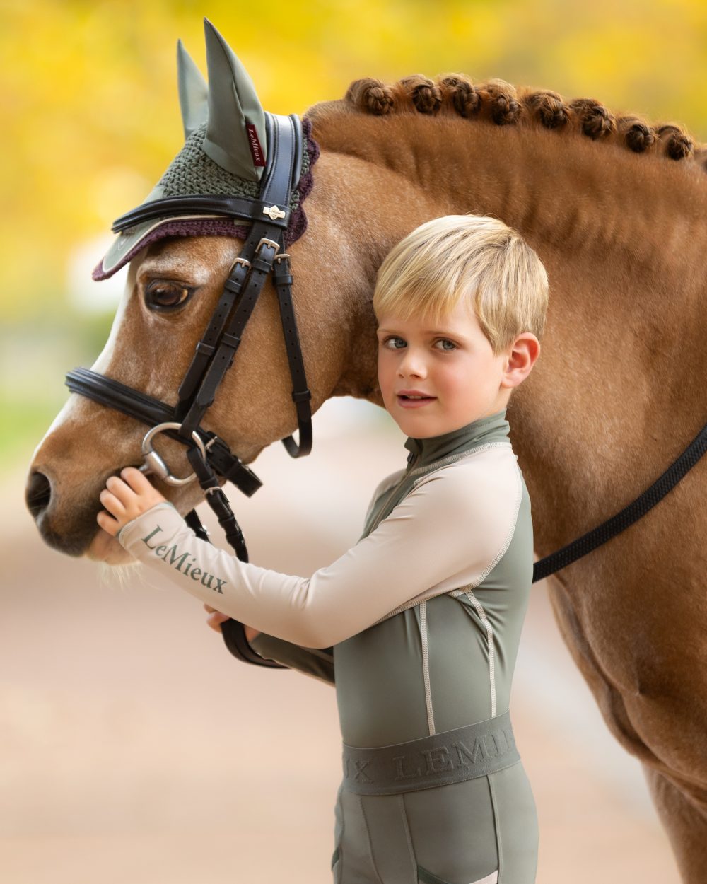 Rosemary coloured LeMieux Classic Fly Hood on blurry background 