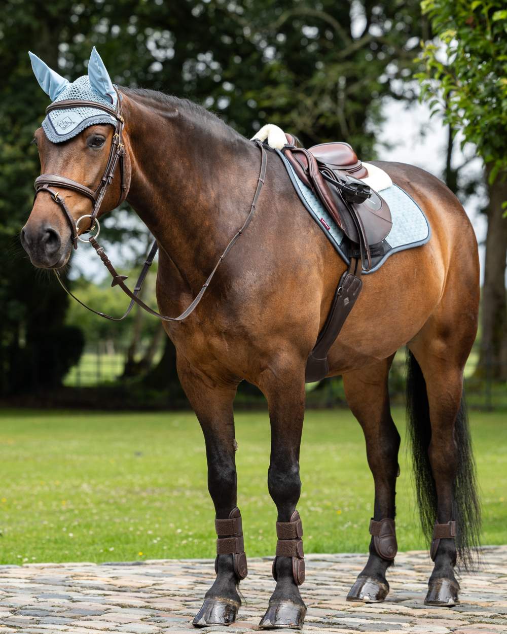 Glacier coloured LeMieux Classic Fly Hood on yard background 