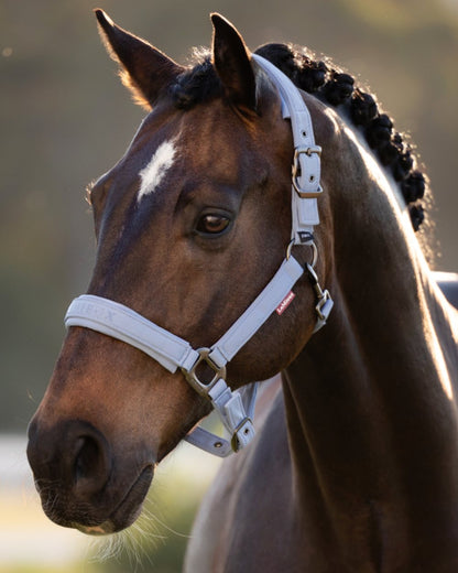 Powder Blue coloured LeMieux Essence Headcollar on blurry background 