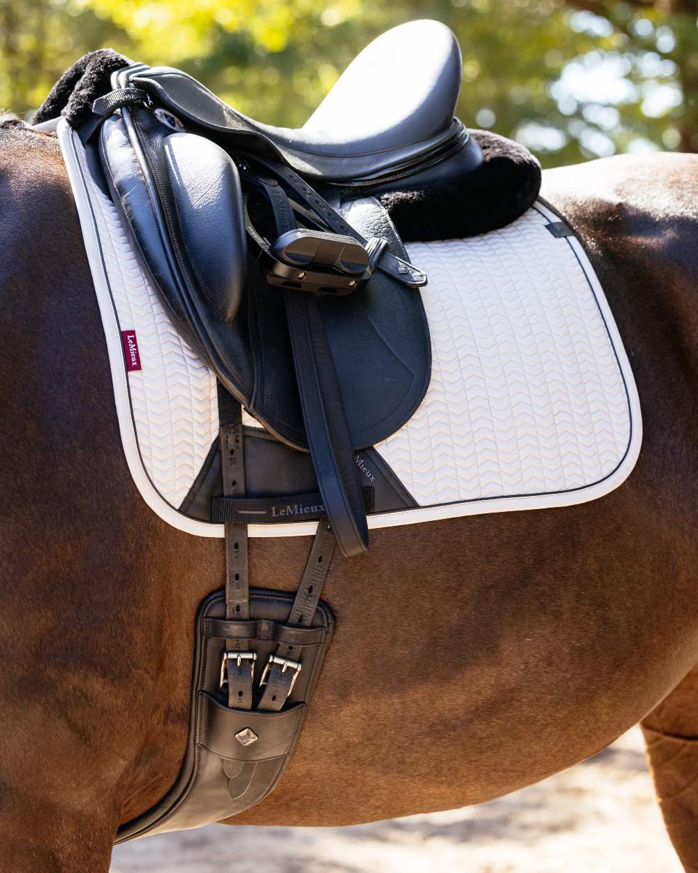 Stone coloured LeMieux Finesse Dressage Square on blurry background 