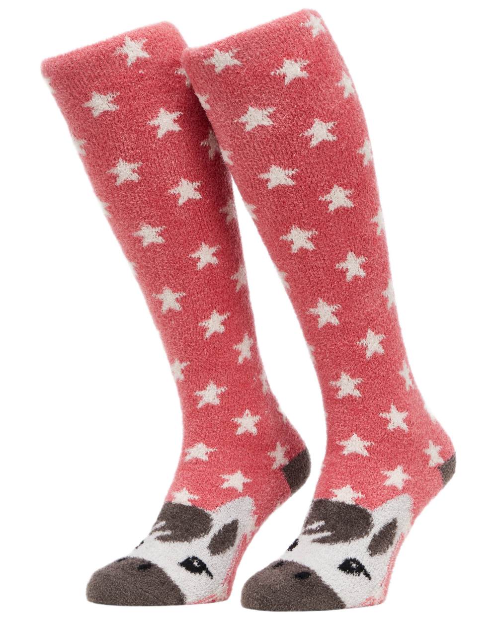 Andalusian Cranberry LeMieux Fluffy Character Socks on white background 