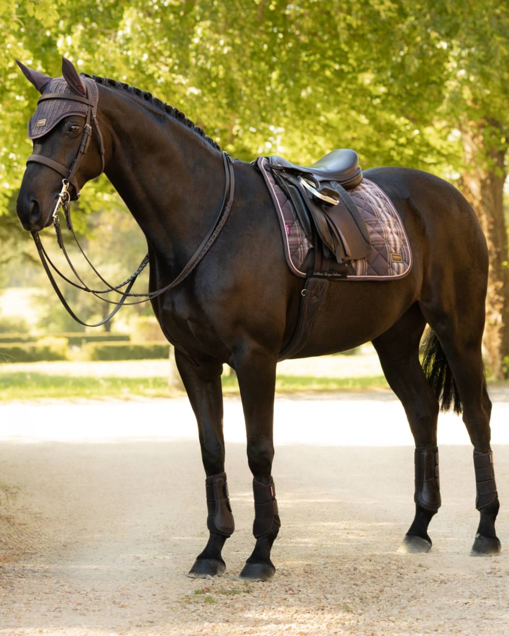Cocoa coloured LeMieux Heritage Check Dressage Square on outdoor background 