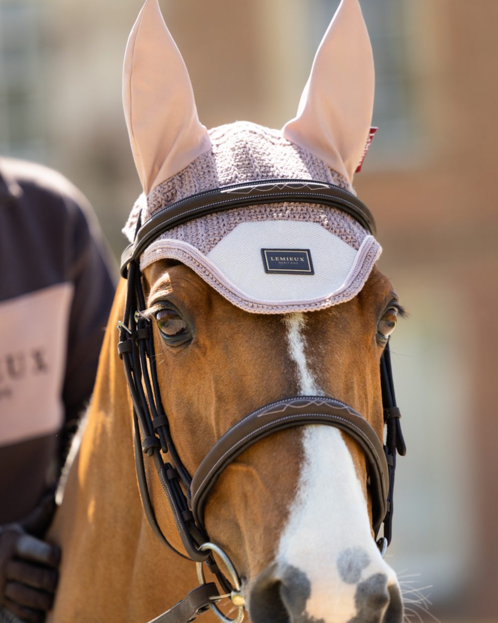 Wild Rose coloured LeMieux Heritage Fly Hood on outdoor background 