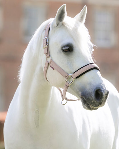 Wild Rose coloured LeMieux Heritage Headcollar on outdoor background 