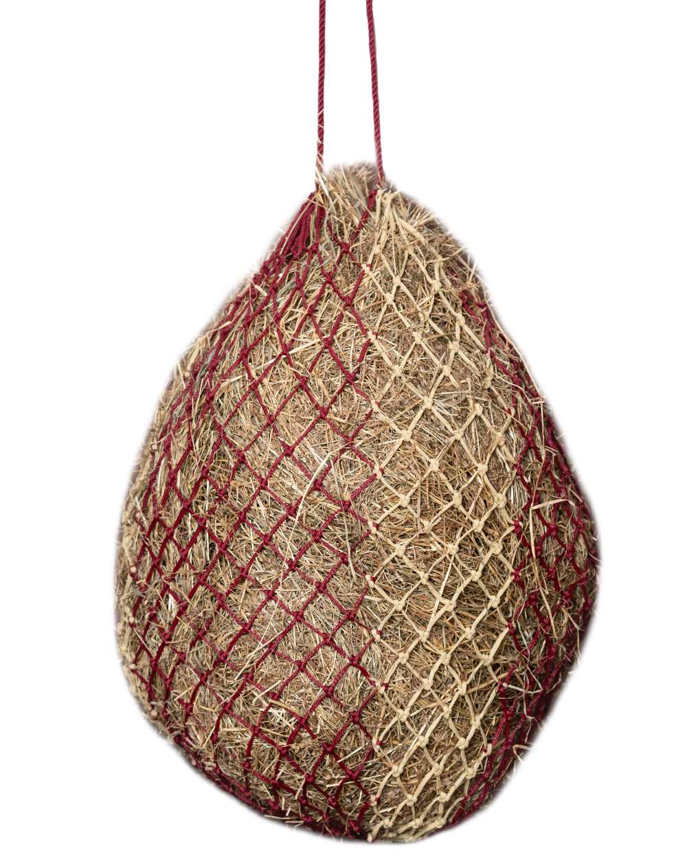 Burgundy coloured LeMieux Hippo Haynet on white background 