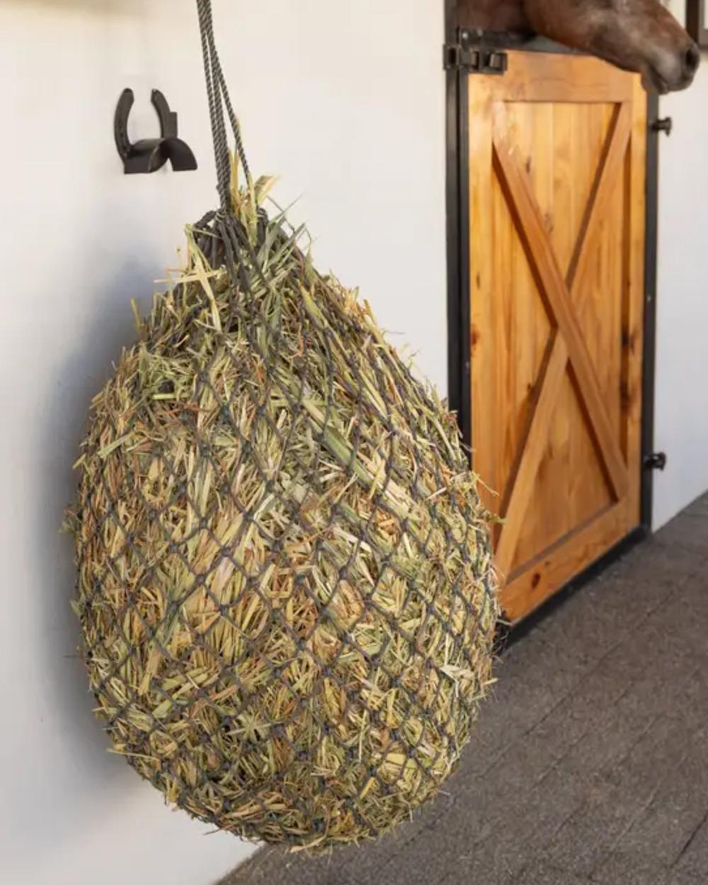 Rosemary coloured LeMieux Hippo Haynet on outdoor background 