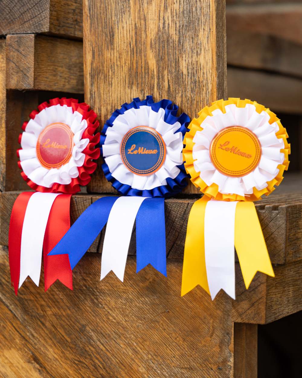 Multi coloured LeMieux Hobby Horse Rosette Pack on wood background 