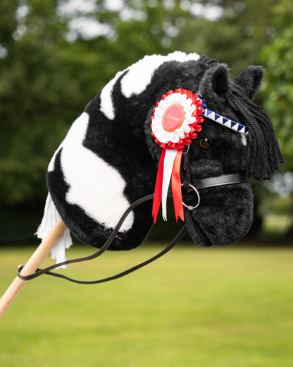 Multi coloured LeMieux Hobby Horse Rosette Pack on tree background 