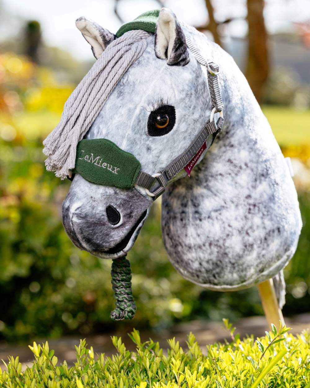 Hunter Green coloured LeMieux Hobby Horse Vogue Headcollar on backyard background 