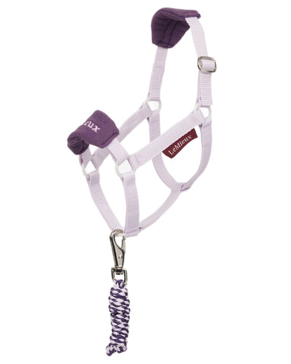 Lilac coloured LeMieux Hobby Horse Vogue Headcollar on white background 