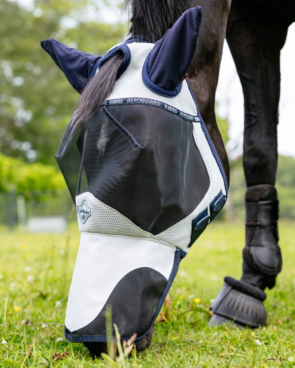 Navy coloured LeMieux Kudos AeroGuard Full Fly Mask on grass background 