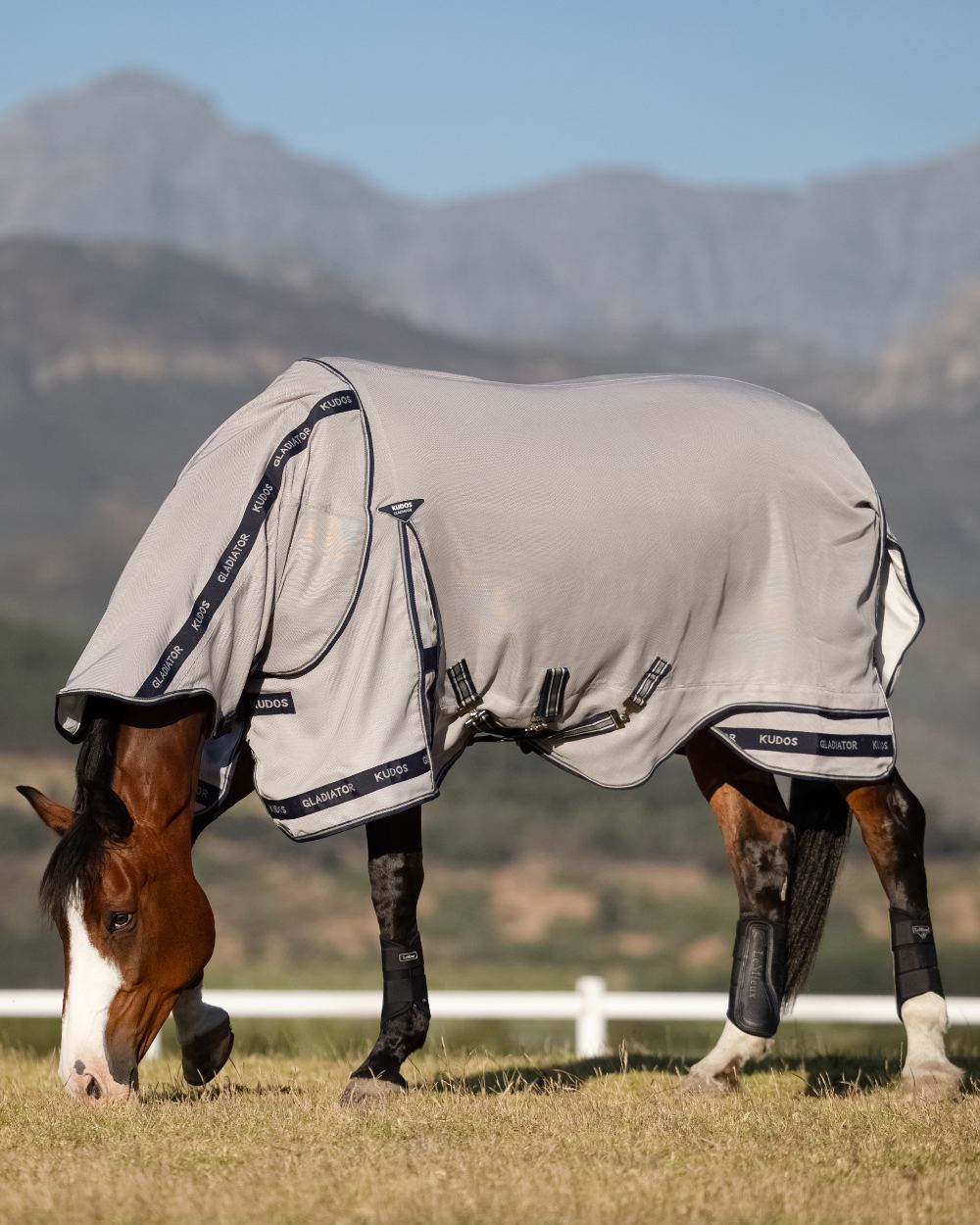 Grey coloured LeMieux Kudos Gladiator Fly Rug on outdoor background 