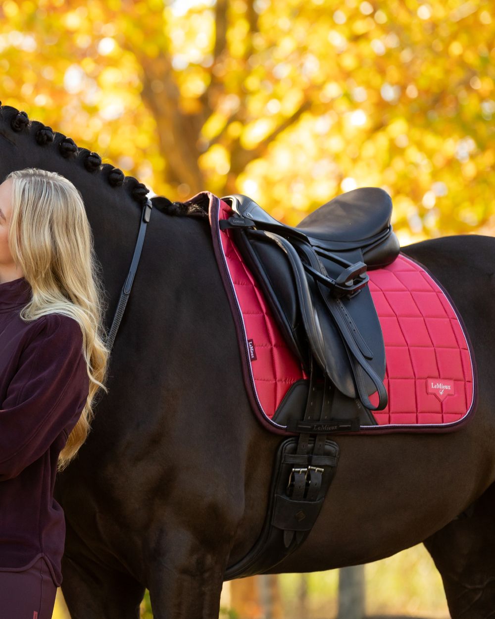 Cranberry coloured LeMieux Loire Dressage Square on tree background 