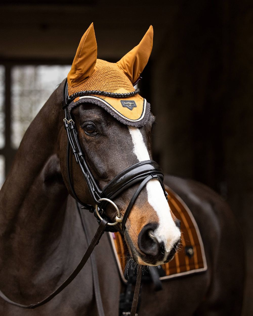 Alpine coloured LeMieux Loire Fly Hood on blurry background 