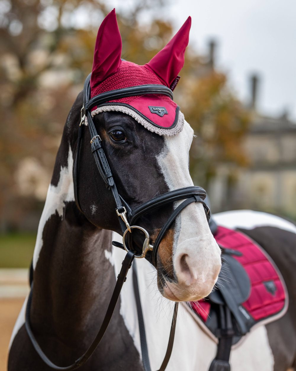 Ember coloured LeMieux Loire Fly Hood on blurry background 