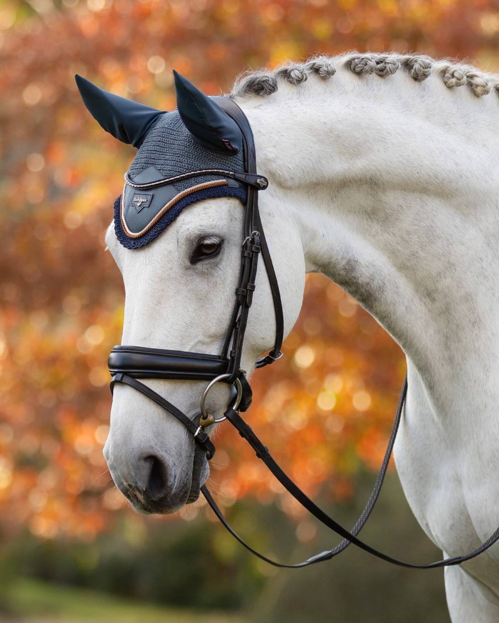 Petrol coloured LeMieux Loire Fly Hood on blurry background 