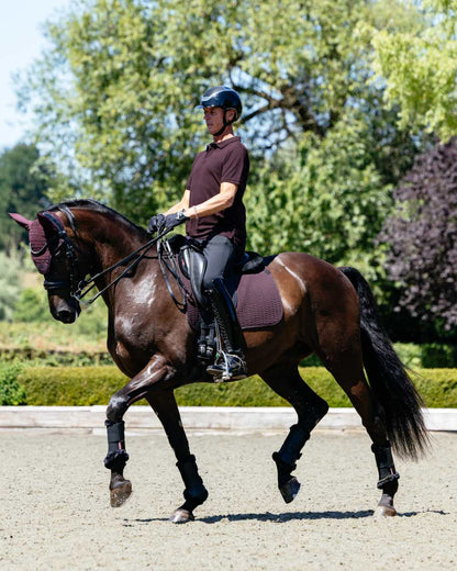 Damson coloured LeMieux Mens Classique Polo T-Shirt on street background 