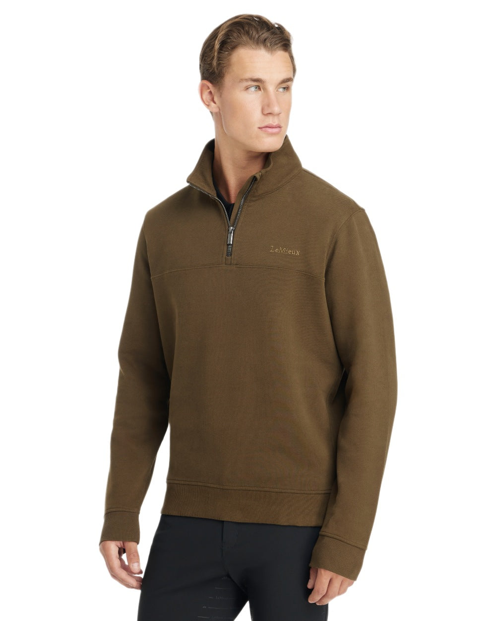 Alpine coloured LeMieux Mens Quarter Neck Sweater on white background 