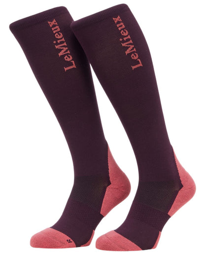 Damson coloured LeMieux Performance Socks on white background 