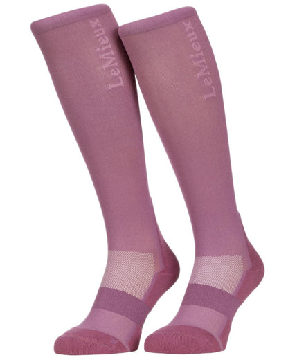 Mallow coloured LeMieux Performance Socks on white background 