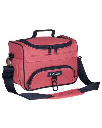 Cranberry coloured LeMieux ProKit Lite Grooming Bag on white background 