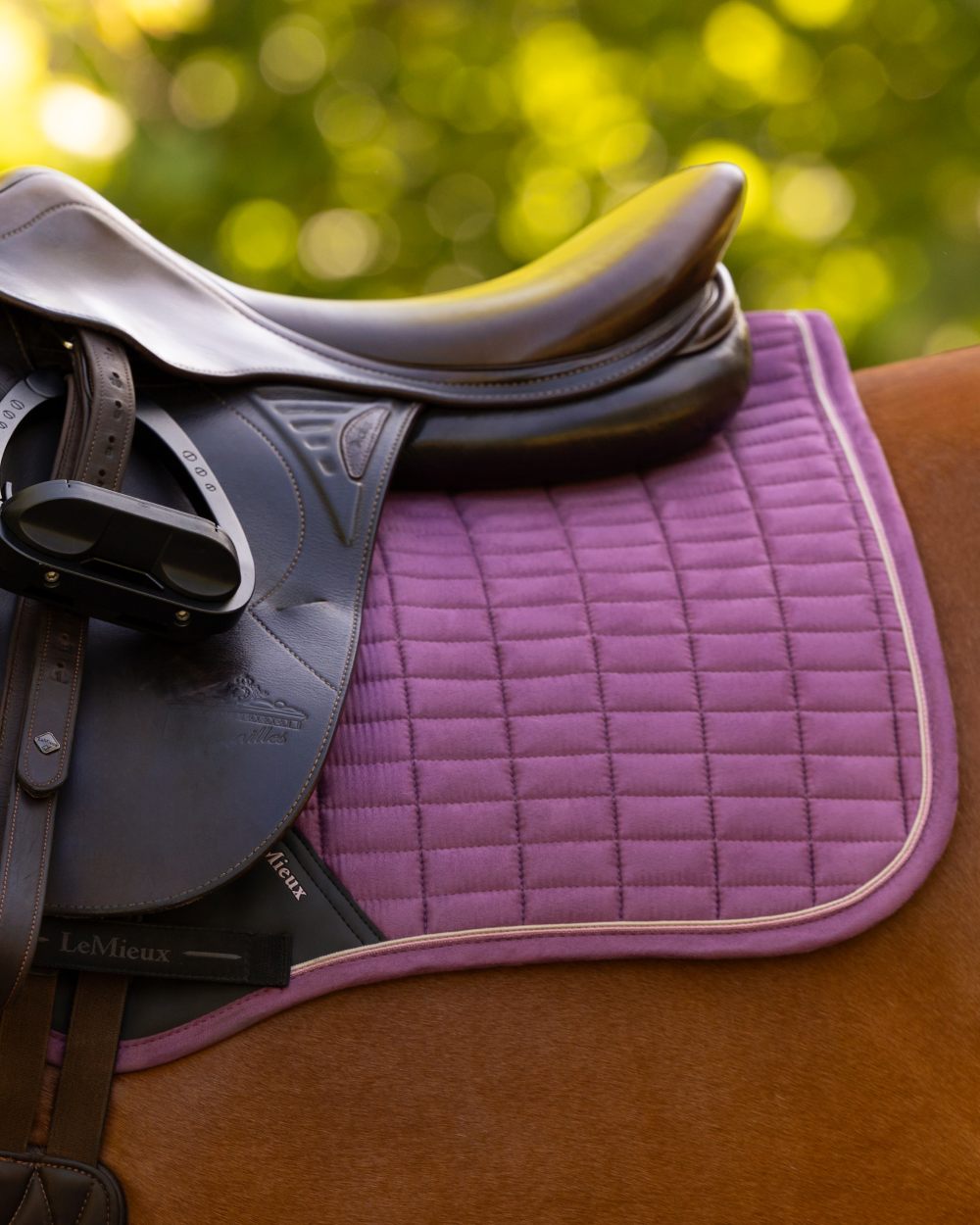 Mallow coloured LeMieux Suede Close Contact Squares on outdoor background 