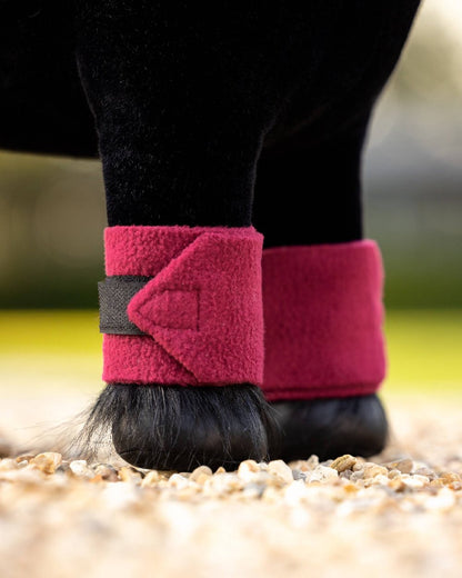 Ember coloured LeMieux Toy Pony Bandages on blurry background 