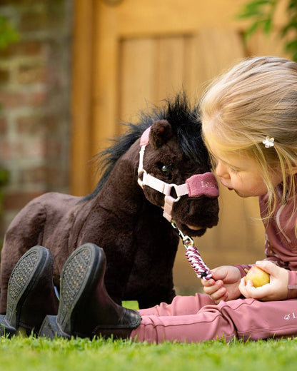 Bubbles coloured LeMieux Toy Pony Bubbles on yard background 