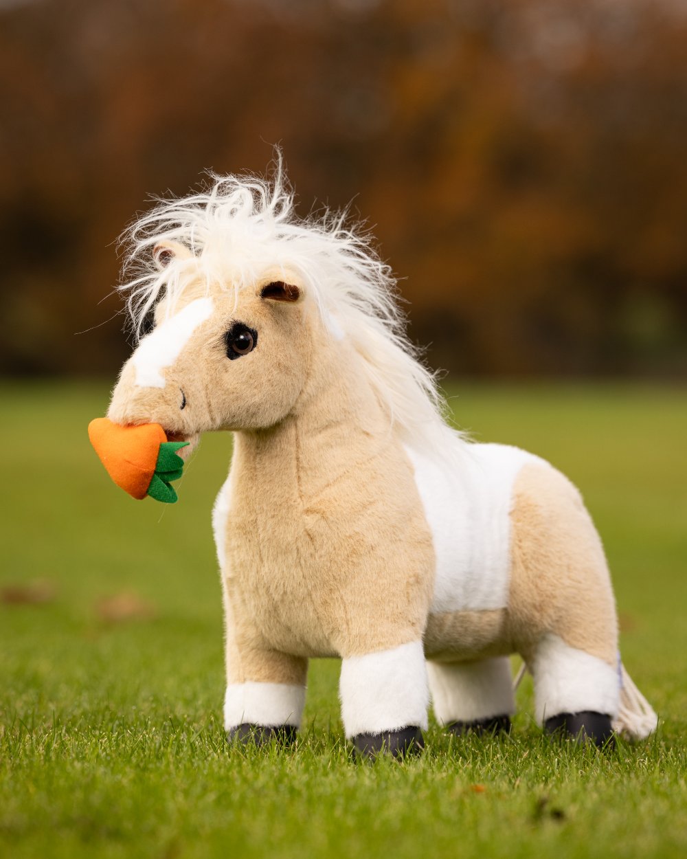 LeMieux Toy Pony Lemon on Blurry Grass background