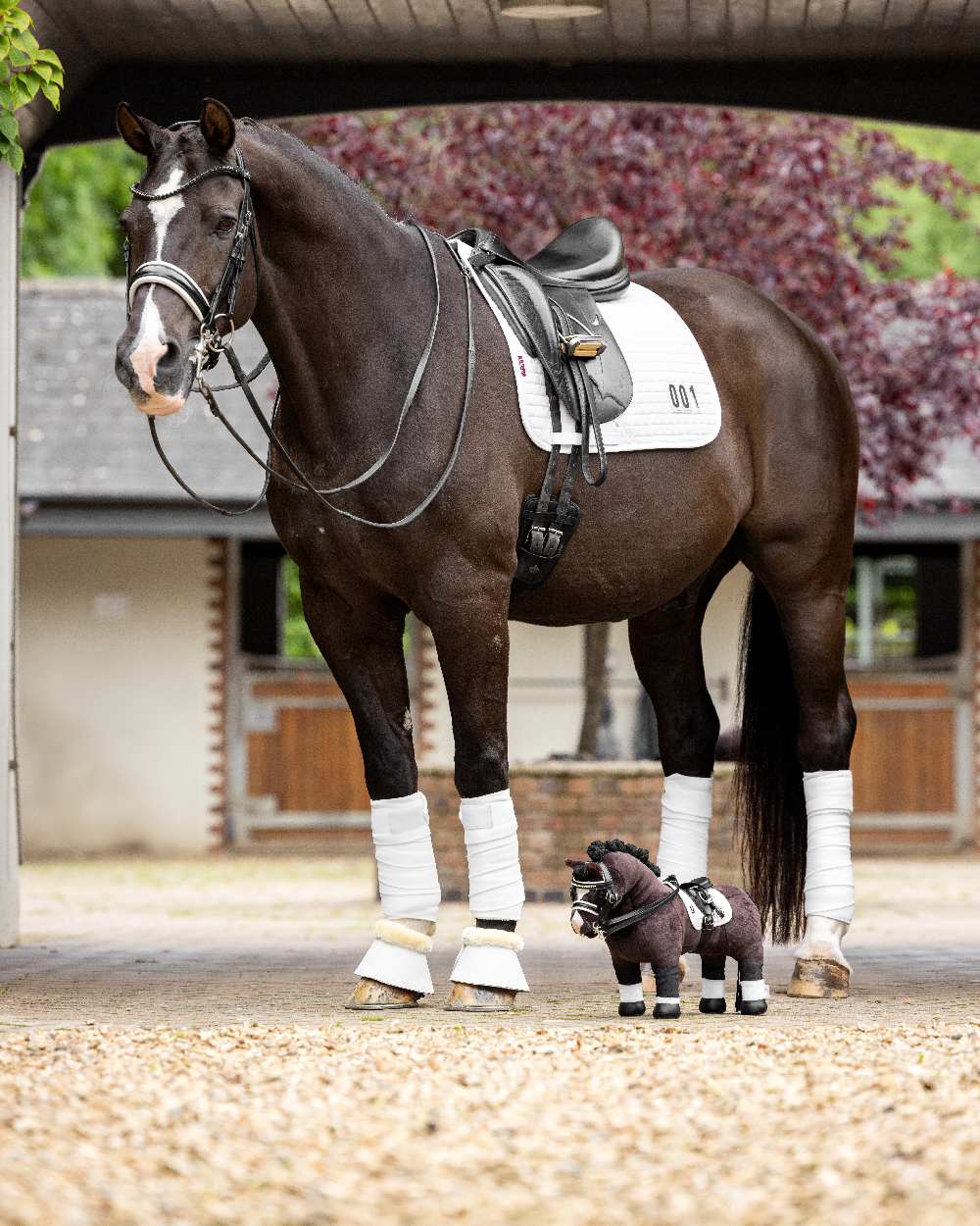 LeMieux Toy Pony Valegro on house background