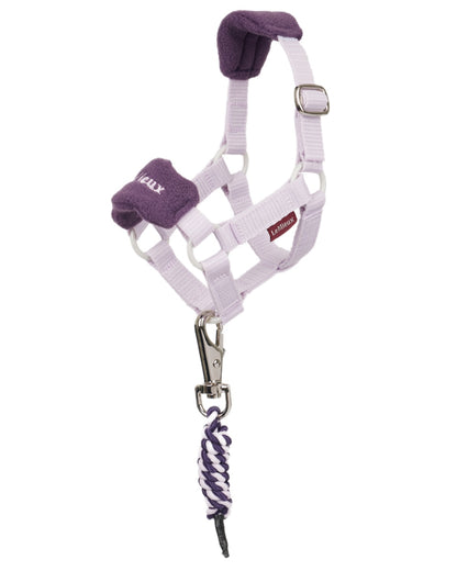 Lilac coloured LeMieux Toy Pony Vogue Headcollar on white background 