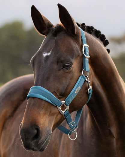 Jungle coloured LeMieux Versailles Headcollar on outdoor background 