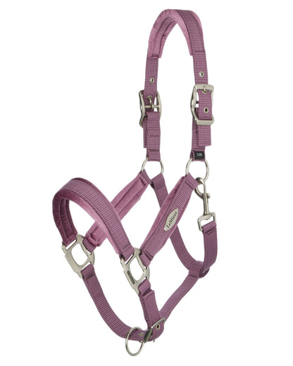 Mallow coloured LeMieux Versailles Headcollar on white background 