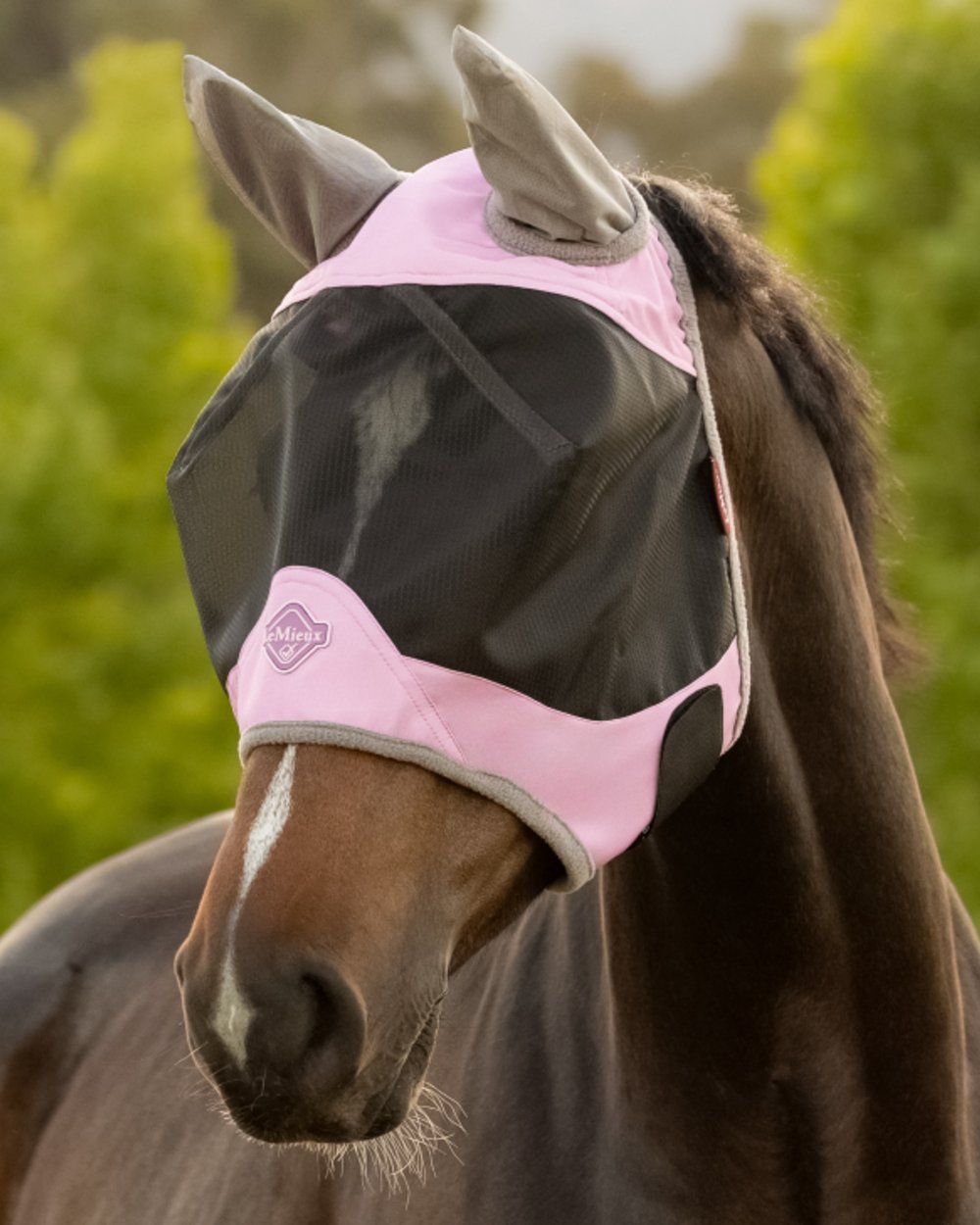 Fondant coloured LeMieux Visor-Tek Half Fly Mask on outdoor background 