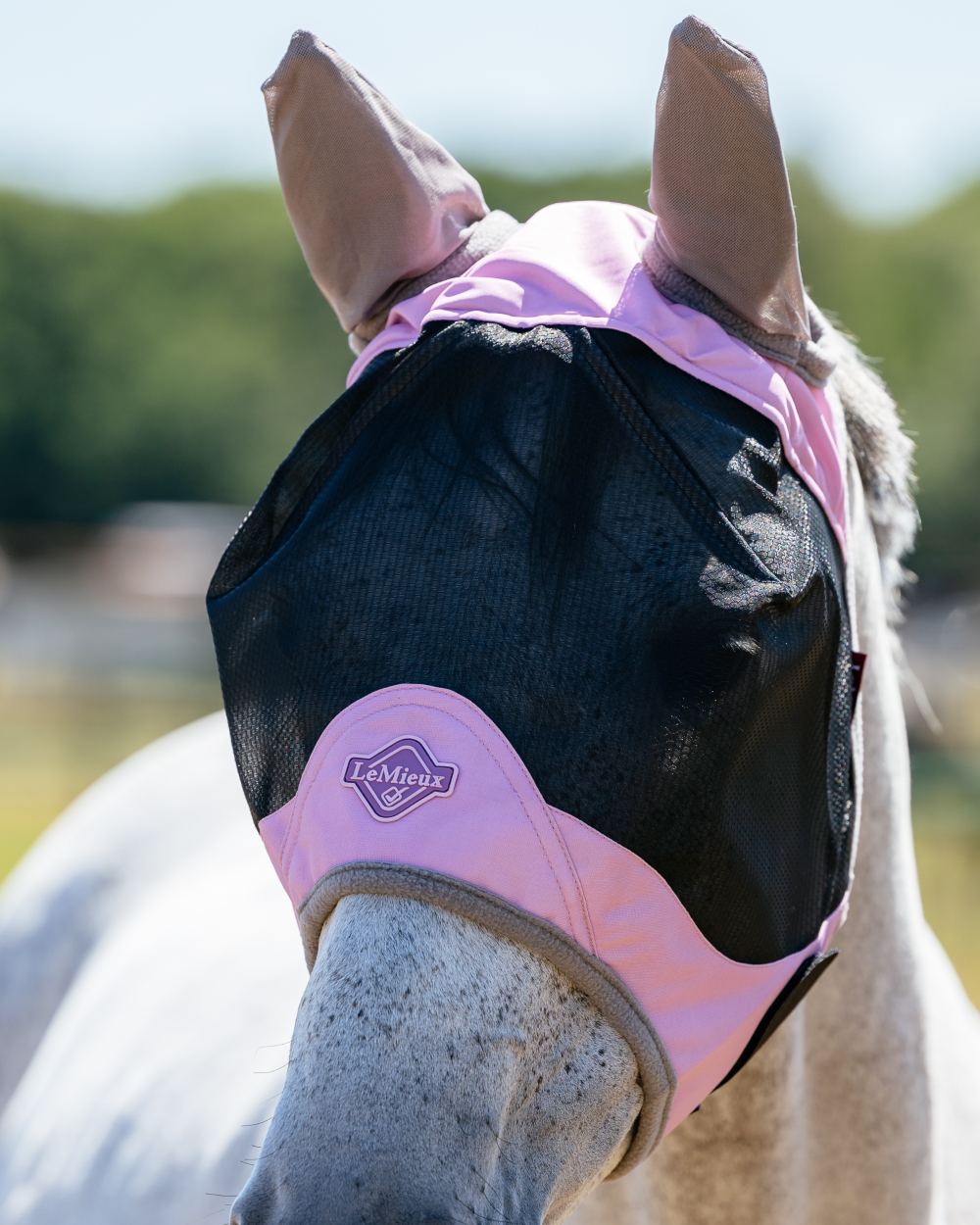 Fondant coloured LeMieux Visor-Tek Half Fly Mask on outdoor background 