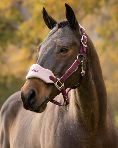 Blackberry coloured LeMieux Vogue Headcollar &amp; Leadrope on outdoor background 
