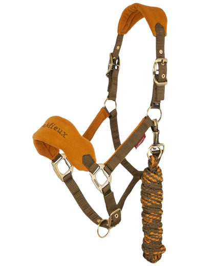 Alpine coloured LeMieux Vogue Headcollar &amp; Leadrope on white background 