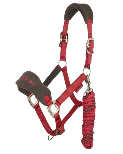 Ember coloured LeMieux Vogue Headcollar &amp; Leadrope on white background 