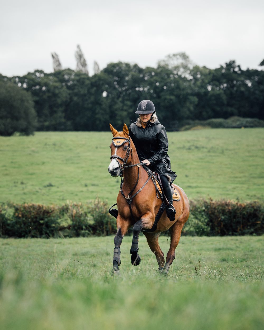 Black Coloured LeMieux Elements Coat On A Land Background 